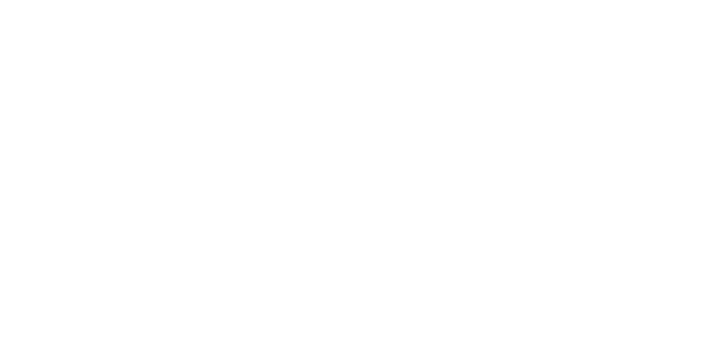Roka