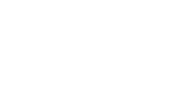 Roka